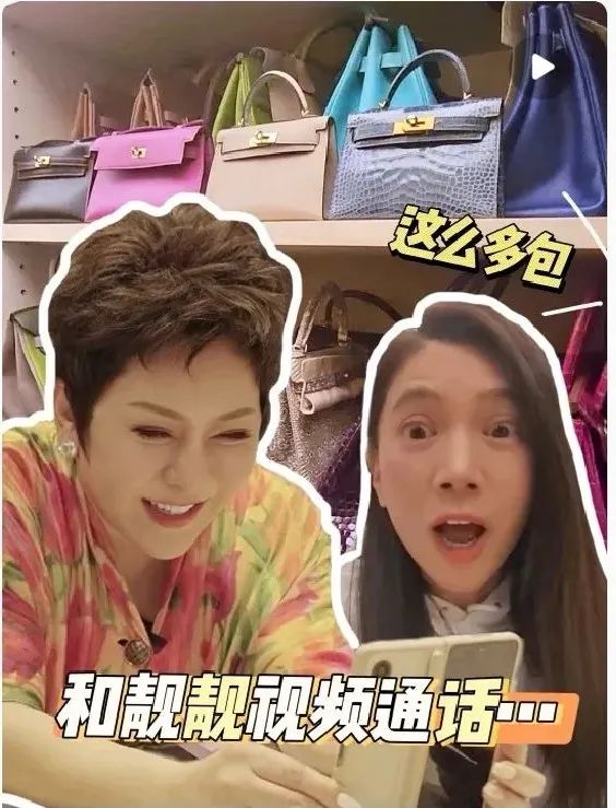 贵妇鄙视链,贵妇炫耀爱马仕包