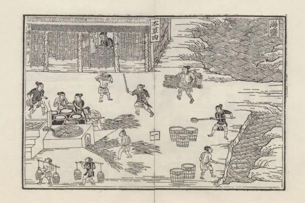 为什么古代的盐非常重要,古代盐那么贵为什么不烧海水