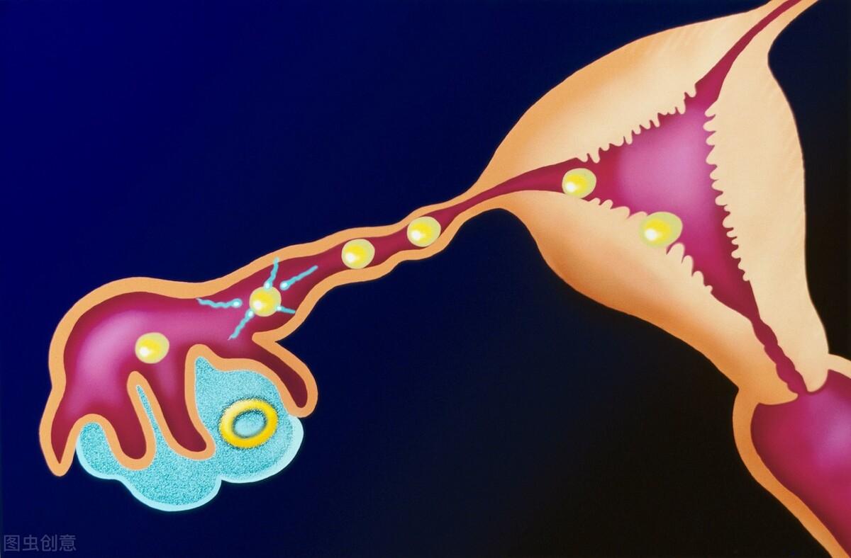 后位子宫快速怀孕的7个诀窍,宫后位怀孕率高吗