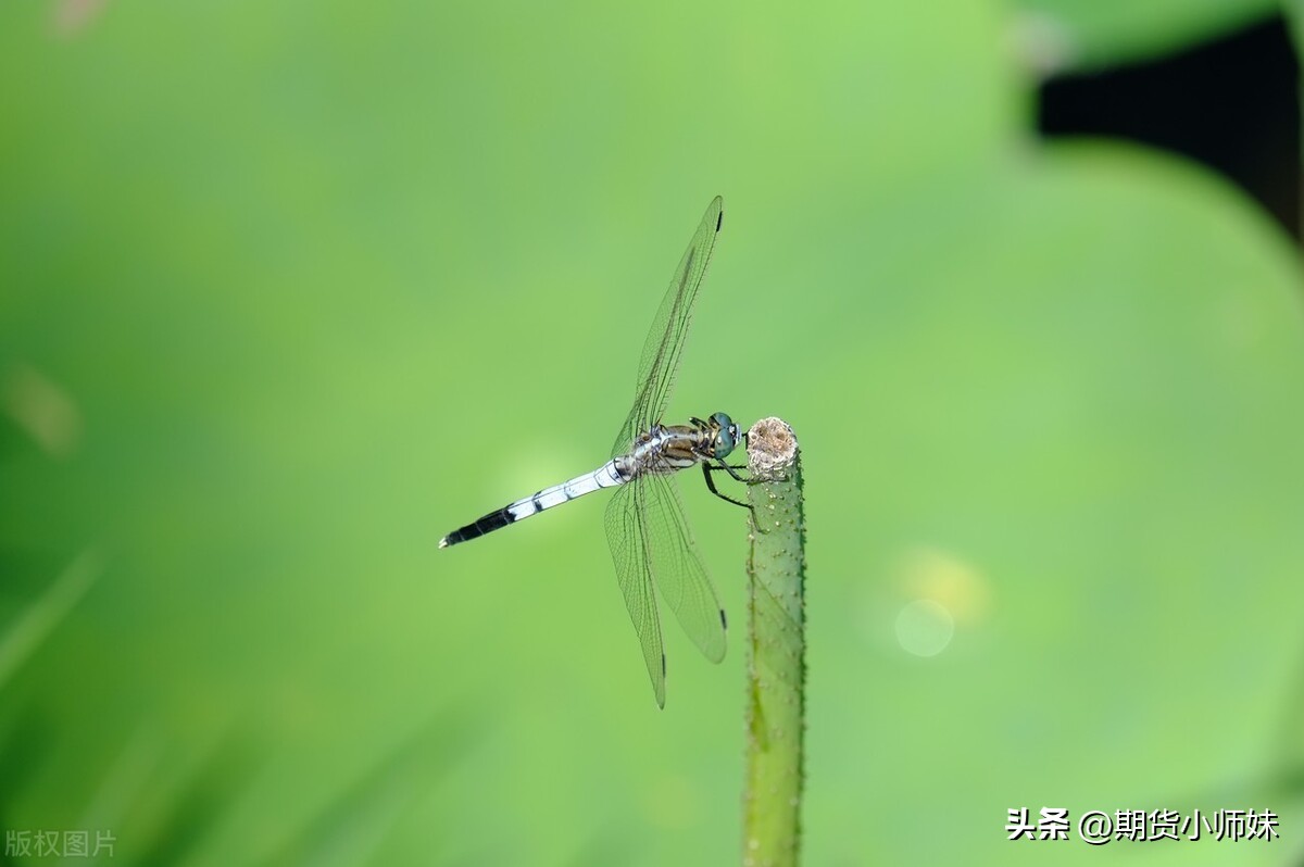 如何判断行情是多还是空,怎样判断行情大小