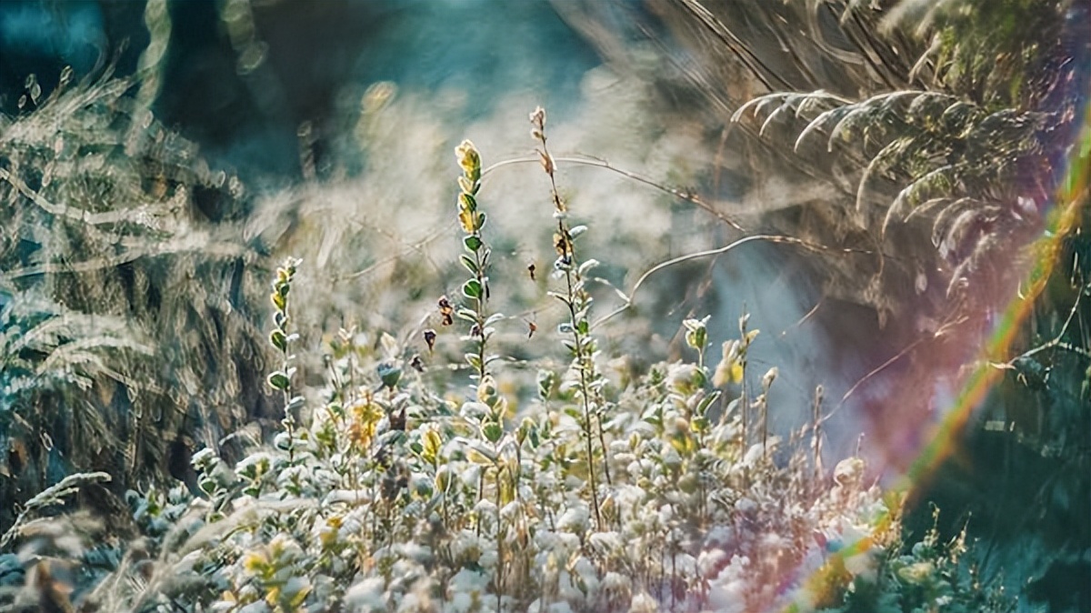 十首超好听的美文歌曲,最流行的歌曲美文