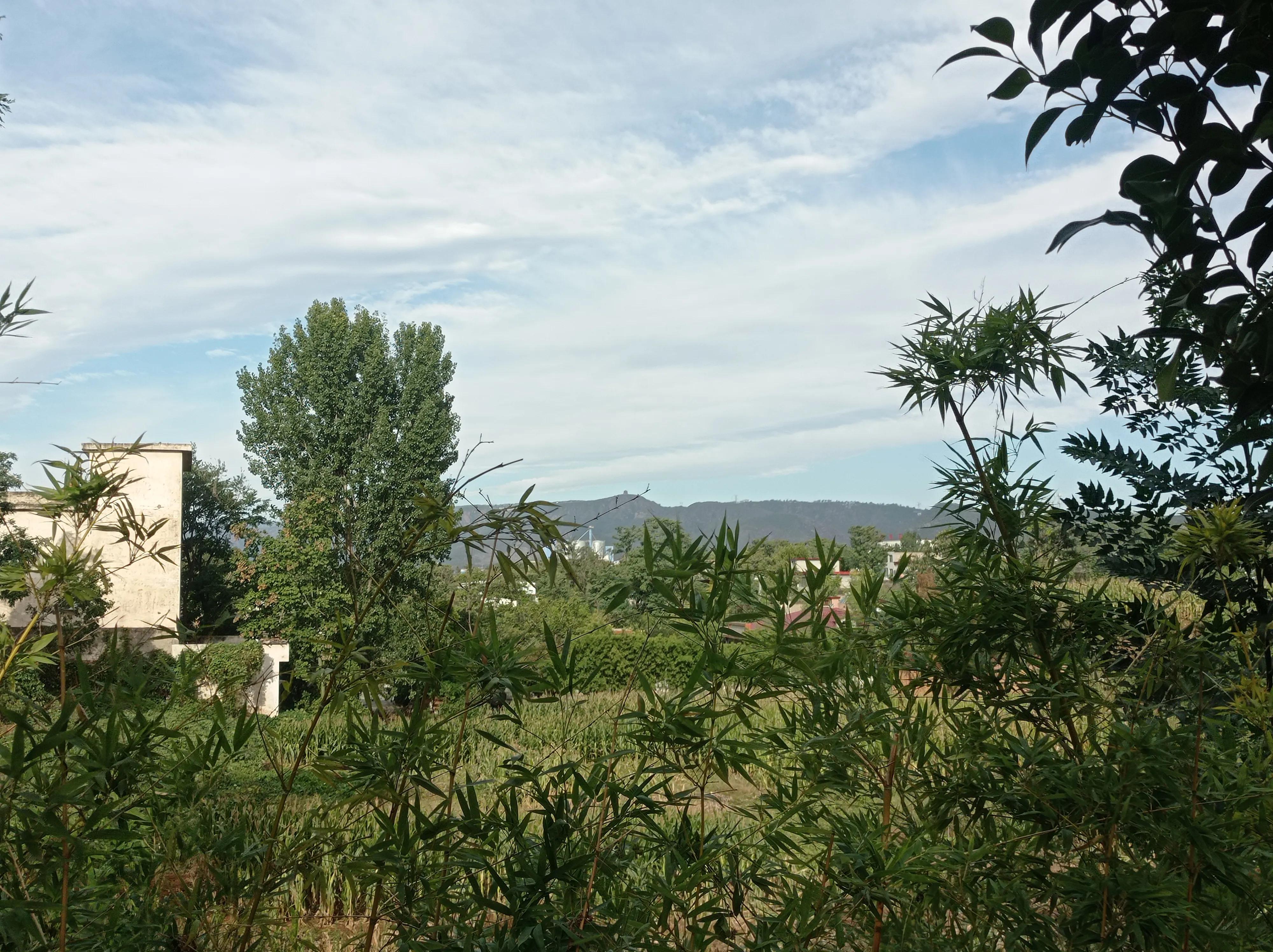 人过中年闷声发大财,人到中年做什么才能发财