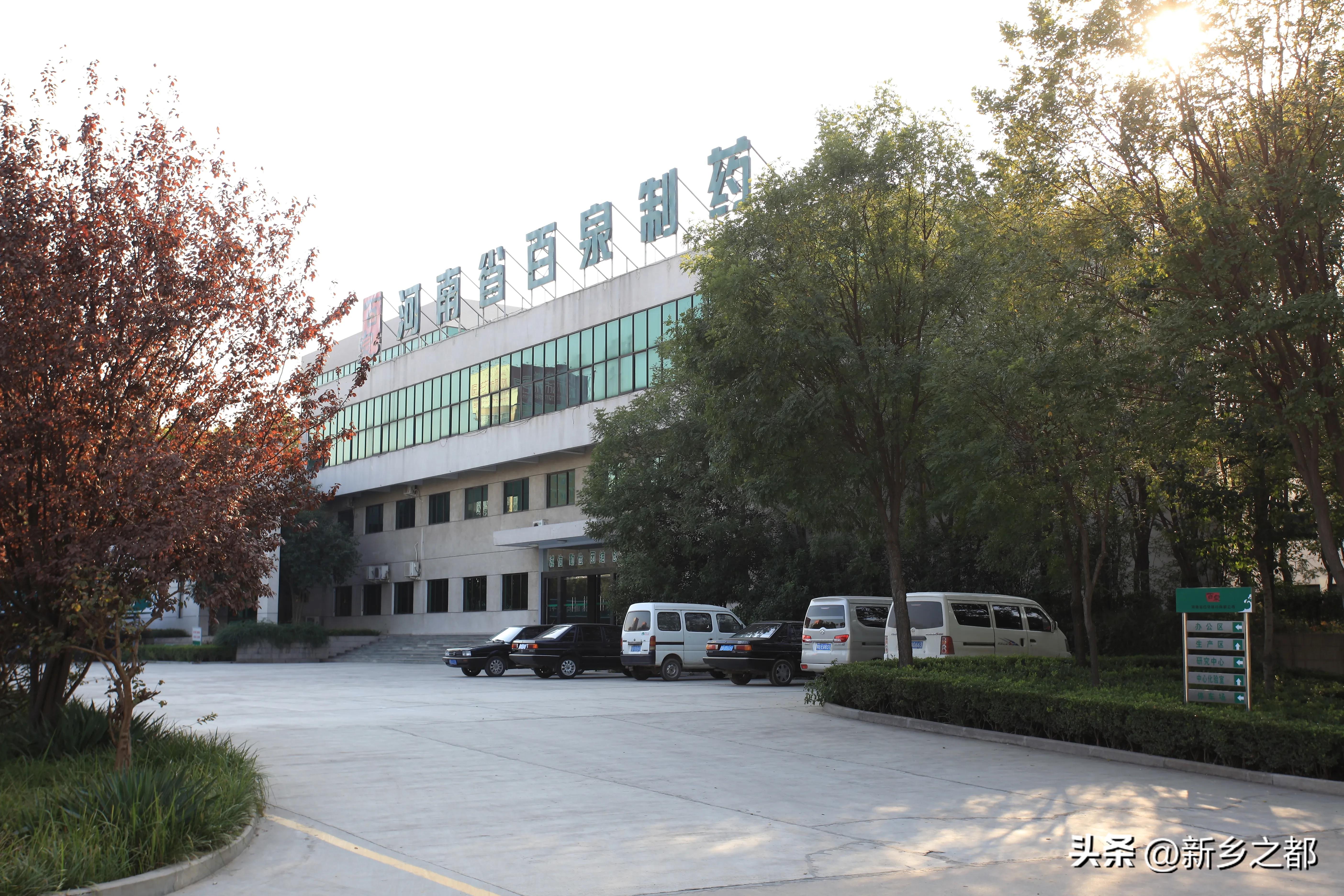 郑琴百泉制药,百泉制药董事长郑琴