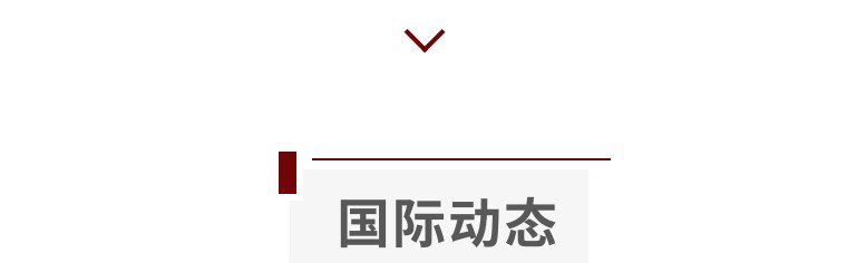 曼卡龙最新利好,曼卡龙定增股多少钱一股