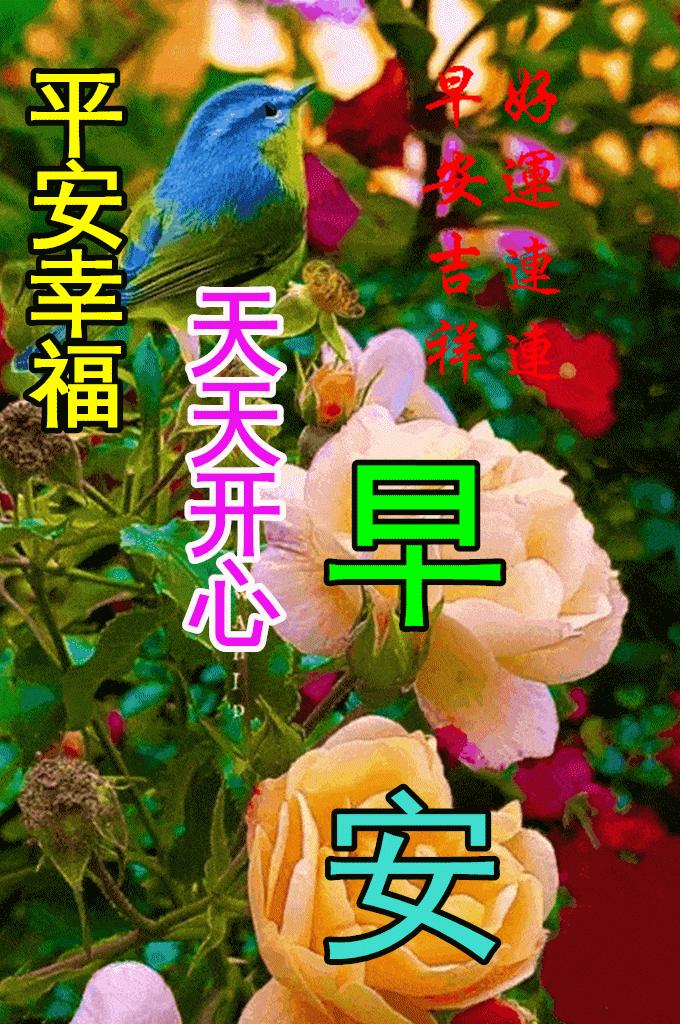 早上好图片带字早安问候,最新早上好带字温馨问候图片