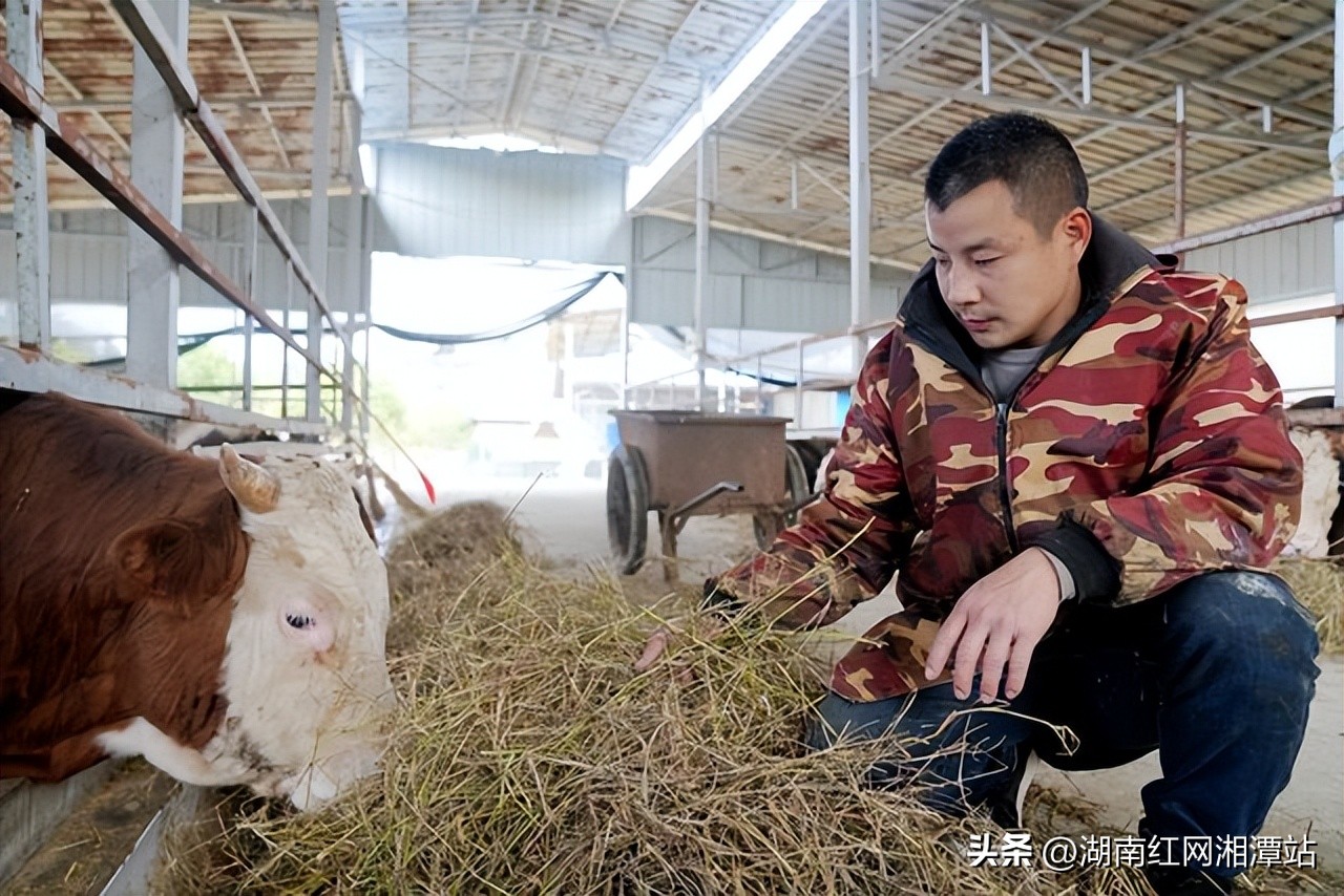 新春走基层回乡创业路,湘潭县春节返乡政策