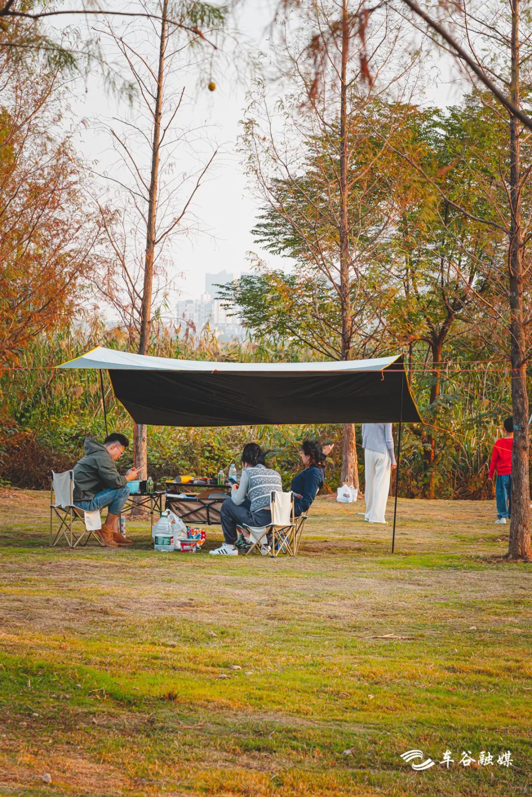 秋日暖阳骑行绿道,骑车绕城绿道值得打卡的推荐