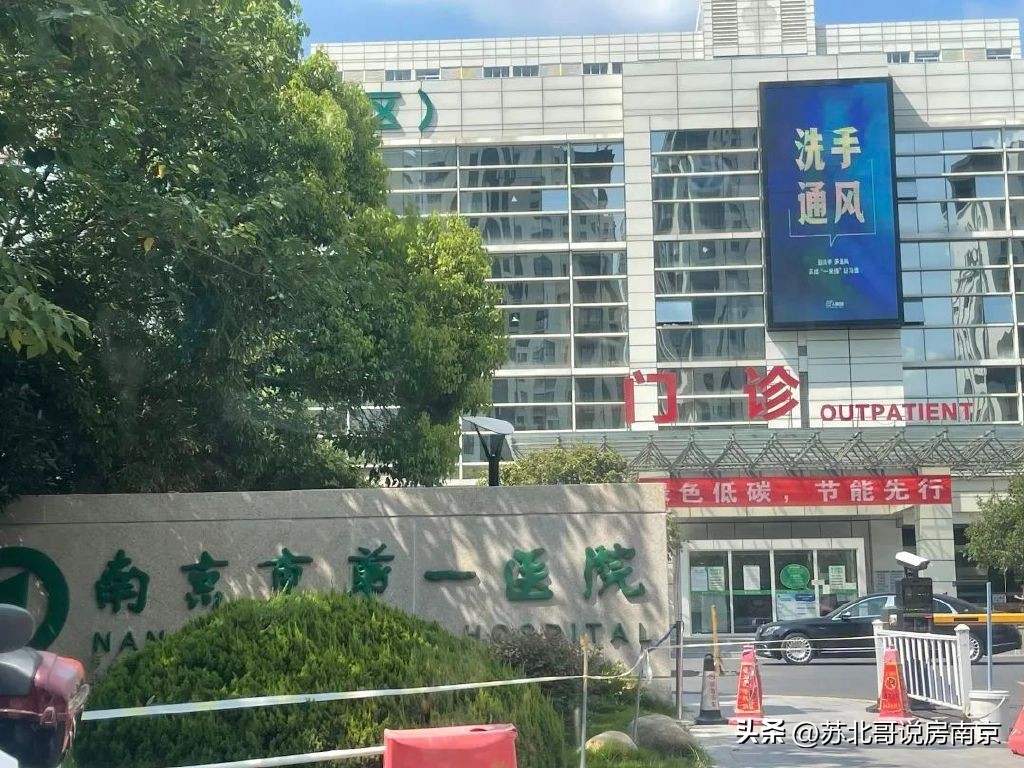 南京丹若园进度,南京丹若园哪年交付