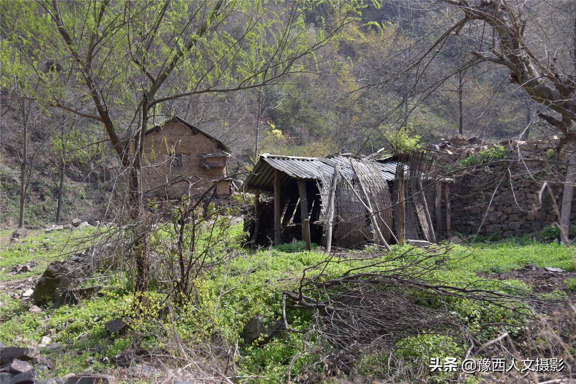 74岁大叔住深山不见人，天天跟老伴儿“捉迷藏”，买一袋盐吃半年