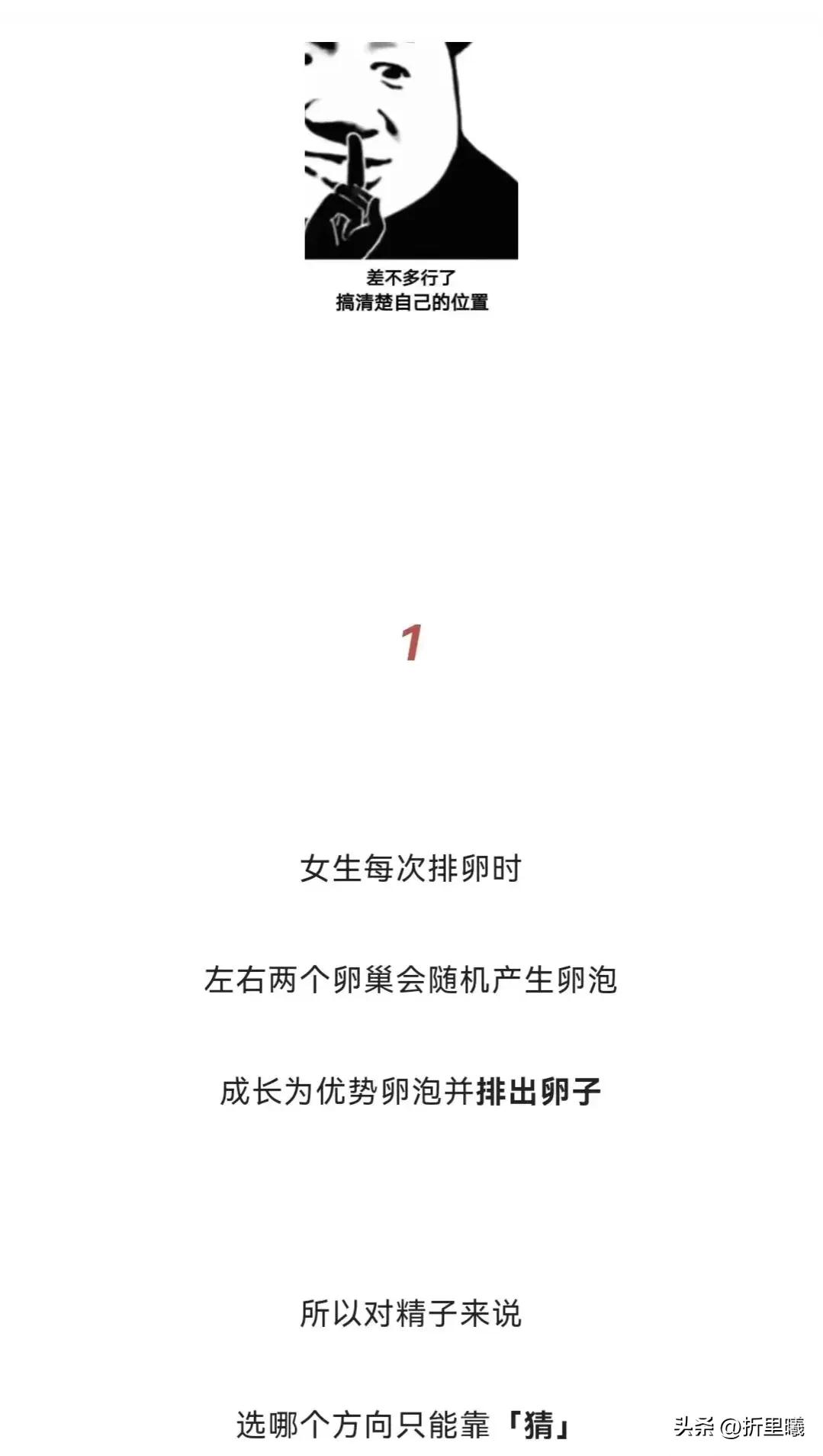正经的科普视频全集,正经的科普有哪些