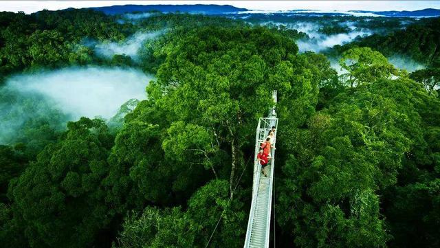 “国王富得流油，居民躺着分钱”，文莱究竟是一个怎样的国家？