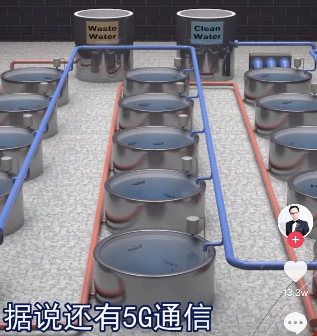 鱼群被套路了，以为自己是野生的|科技袁人