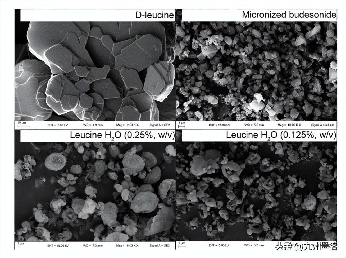 研究纳米石灰处理对Clipsham石灰石干燥动力学的影响