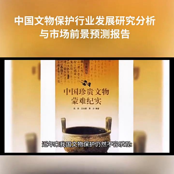 行业投资与发展前景研究报告,行业发展分析及投资前景预测报告