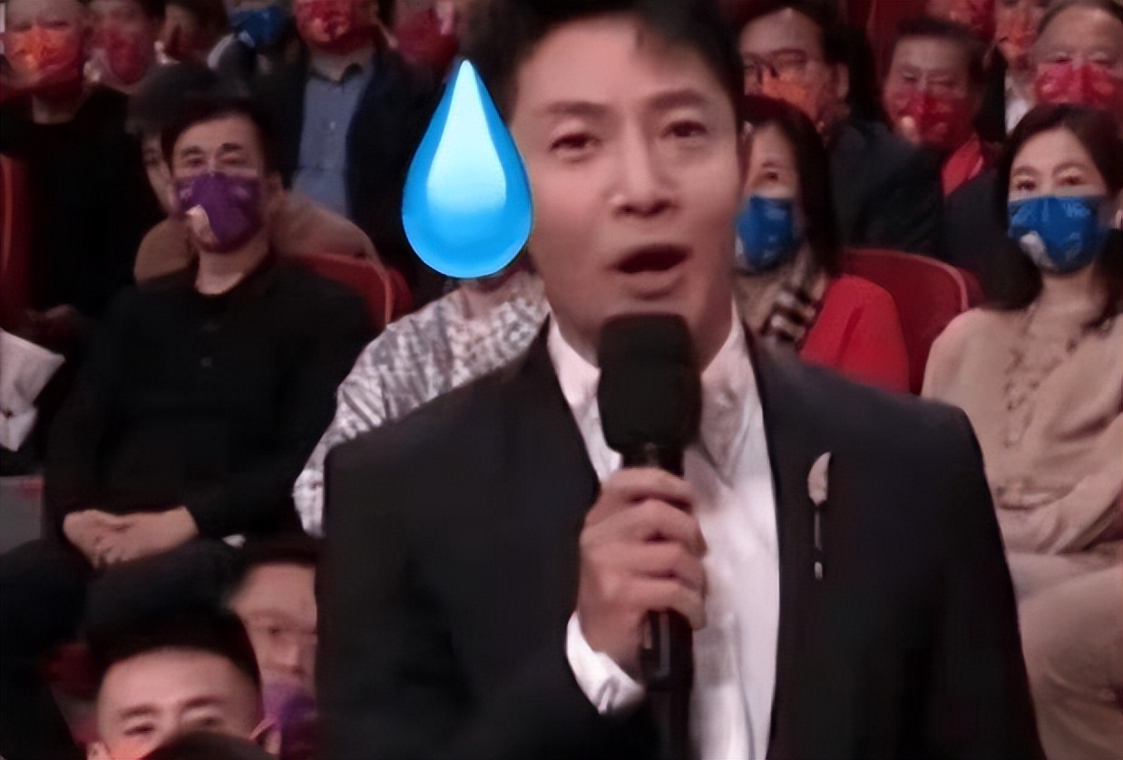 央视公认最漂亮的6位女主持人,至今未婚的央视女主持