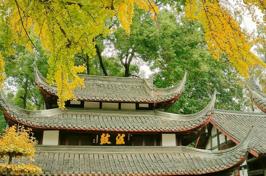 热度在持续飙升,热度一直在飙升