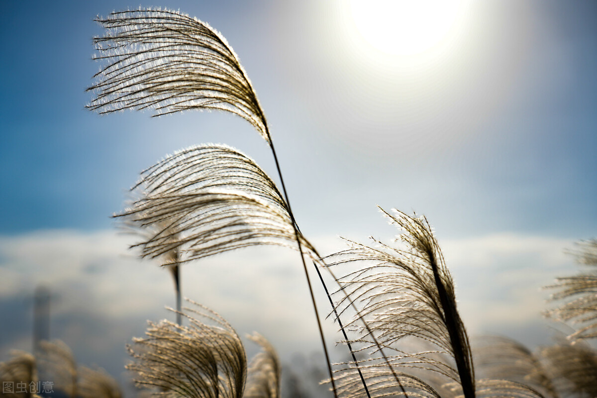 未成年究竟能不能纹身,未成年人纹身不是私事和家事