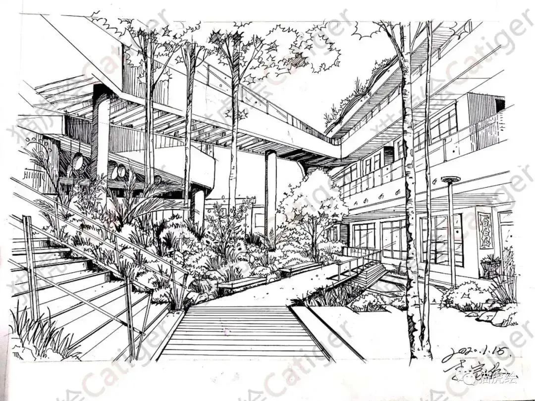 猫虎画,猫虎绘画