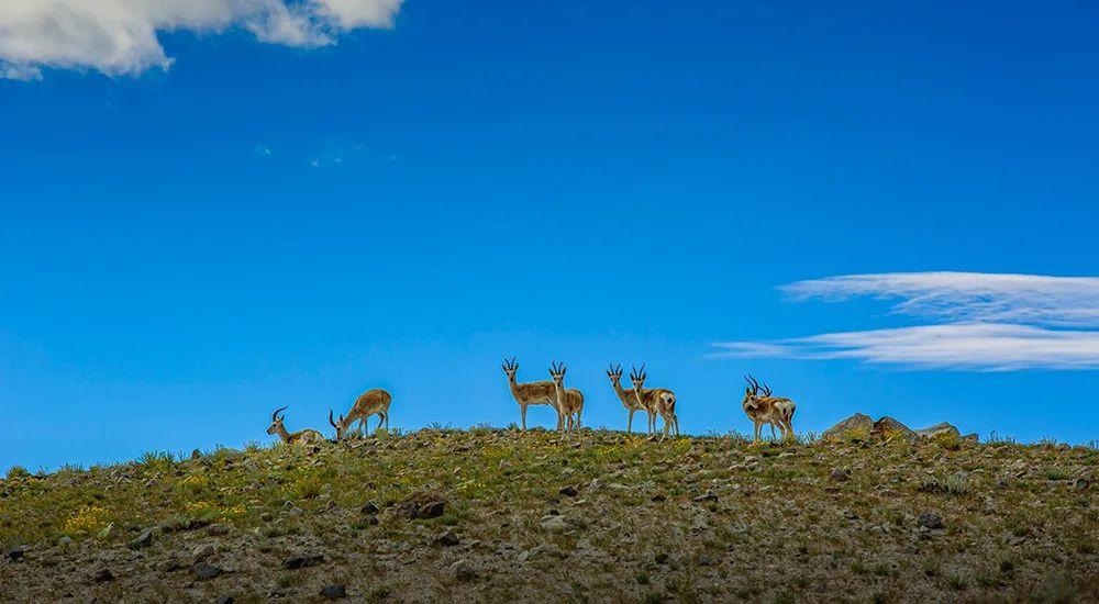 磨金石教育摄影技能干货分享||“大美中国”主题摄影作品欣赏