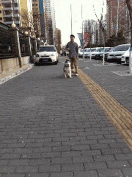 每日一笑闺蜜交了新男朋友,每日一笑之闺蜜交了新男朋友