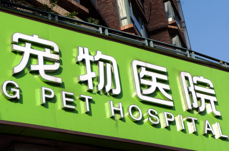 现在开宠物医院好还是宠物店好,开宠物医院和开宠物店哪个赚钱