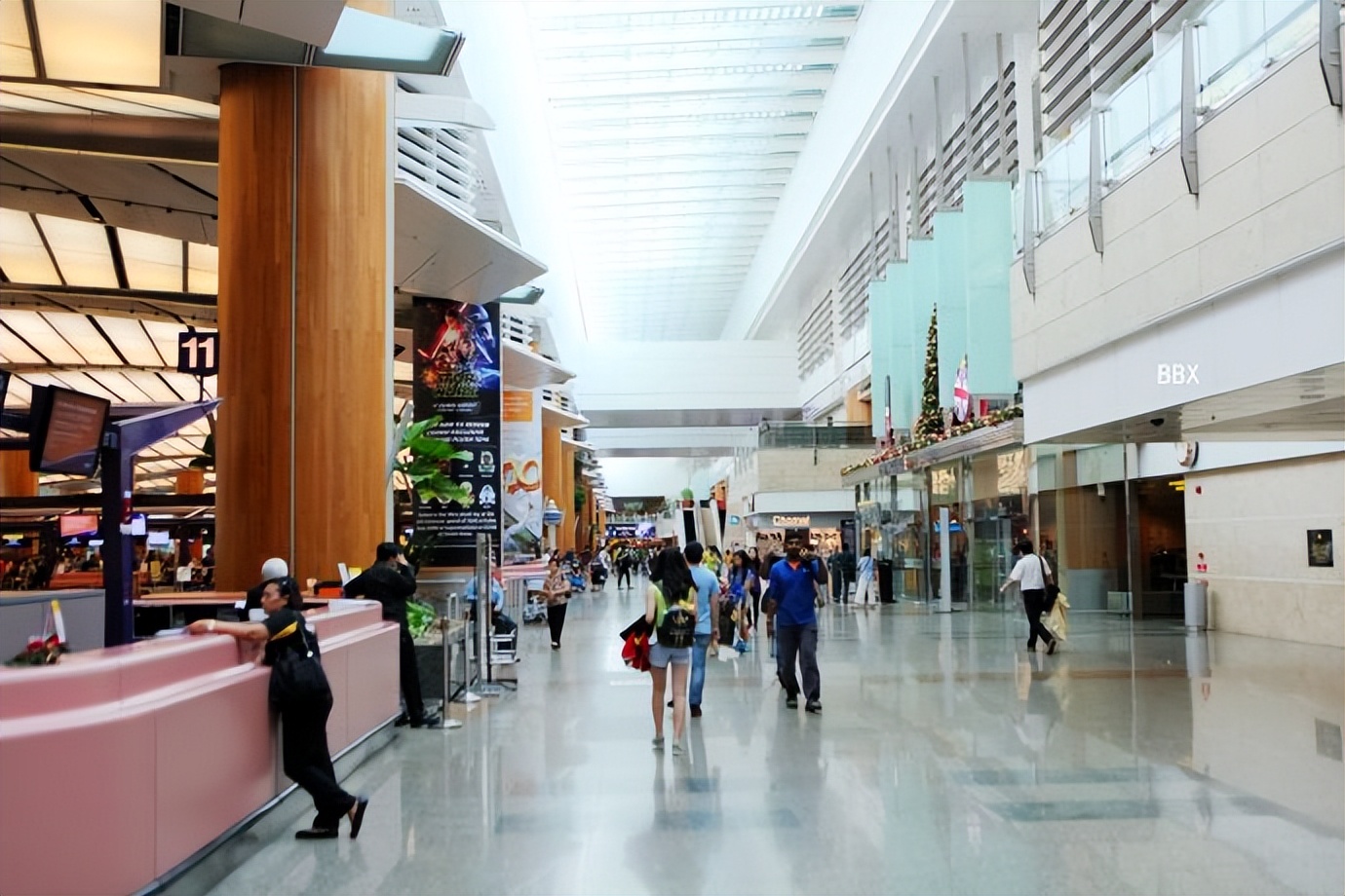 新加坡樟宜机场的仙人掌花园,新加坡最美机场在哪个航站楼