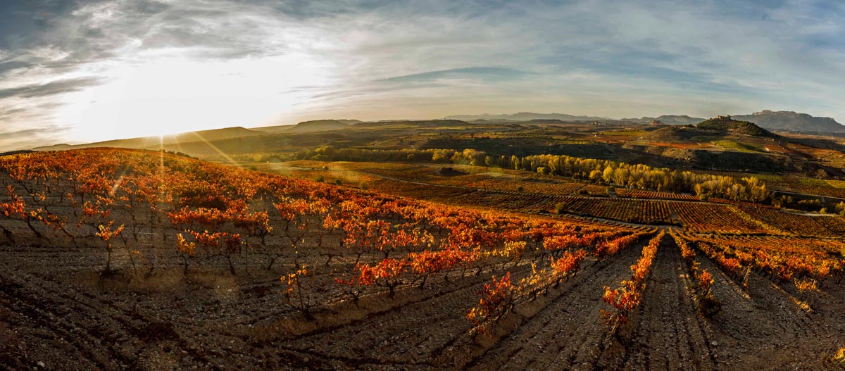 詹姆斯·萨克林2022年百大葡萄酒前10名揭晓