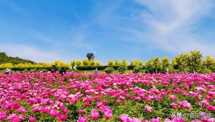 大连金州区旅游景区推荐路线,大连金州旅游攻略自由行