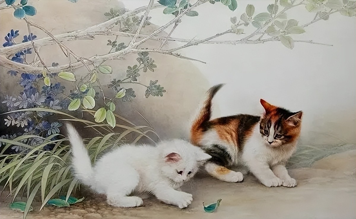 李时珍为什么说猫不能吃,中国人为什么不吃猫