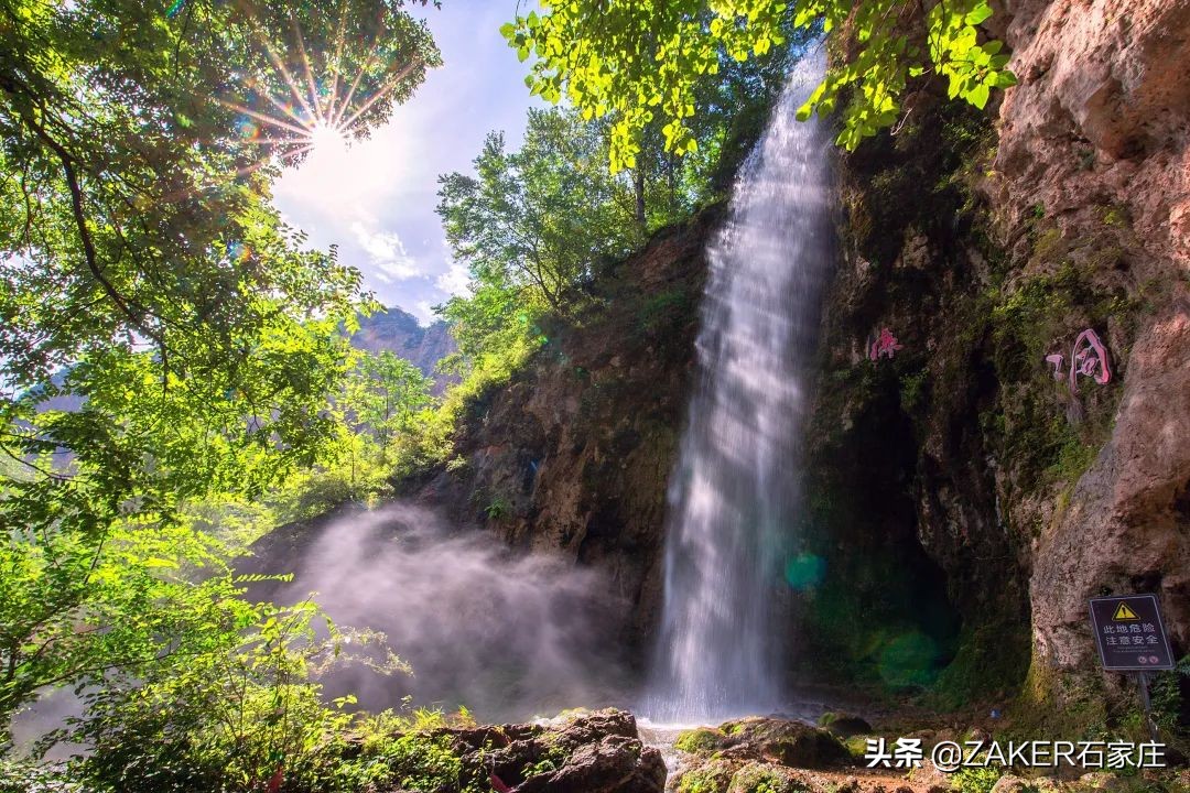 石家庄大熊猫贤贤还活着吗,大熊猫贤贤跟谁一起去石家庄