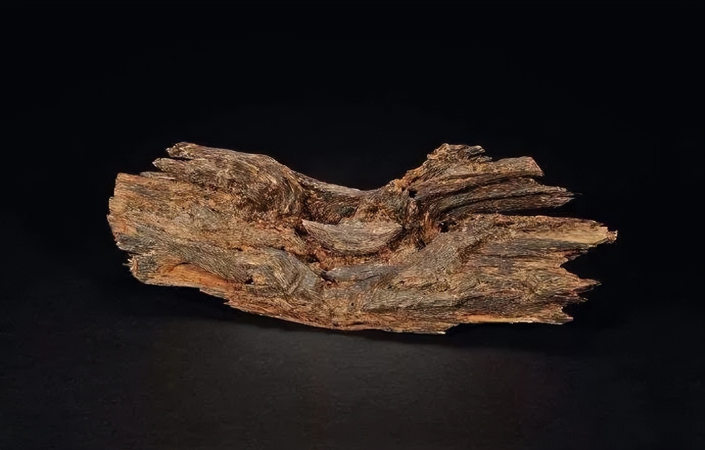 沉香是世界上最有价值的木材,世界上最贵一公斤木材