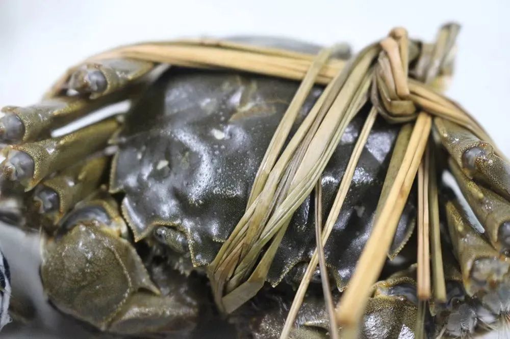 湖蟹和塘蟹测评,阳澄湖塘蟹和湖蟹哪个好