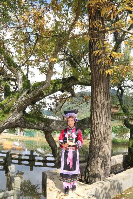 保山施甸布朗族服饰走向法国,保山施甸布朗族服饰图案介绍