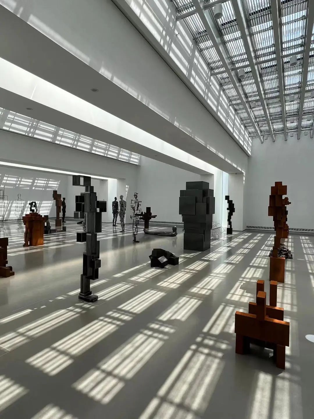 最高级的素质,顶级身体形态