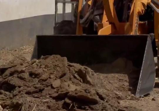 养羊赚钱的十大忠告,养羊十大赚钱的方法