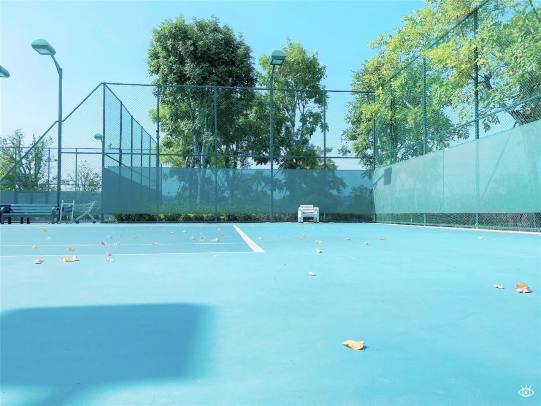 深圳超美公园,深圳好风景公园