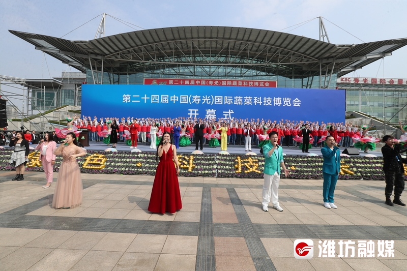 【潍观|菜博会24载“长红”，密码为你解锁】