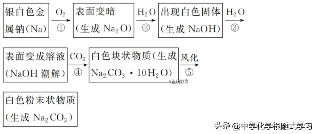 碳酸钠与碳酸氢钠的溶解度比较,碳酸钠与碳酸氢钠与盐酸反应速率