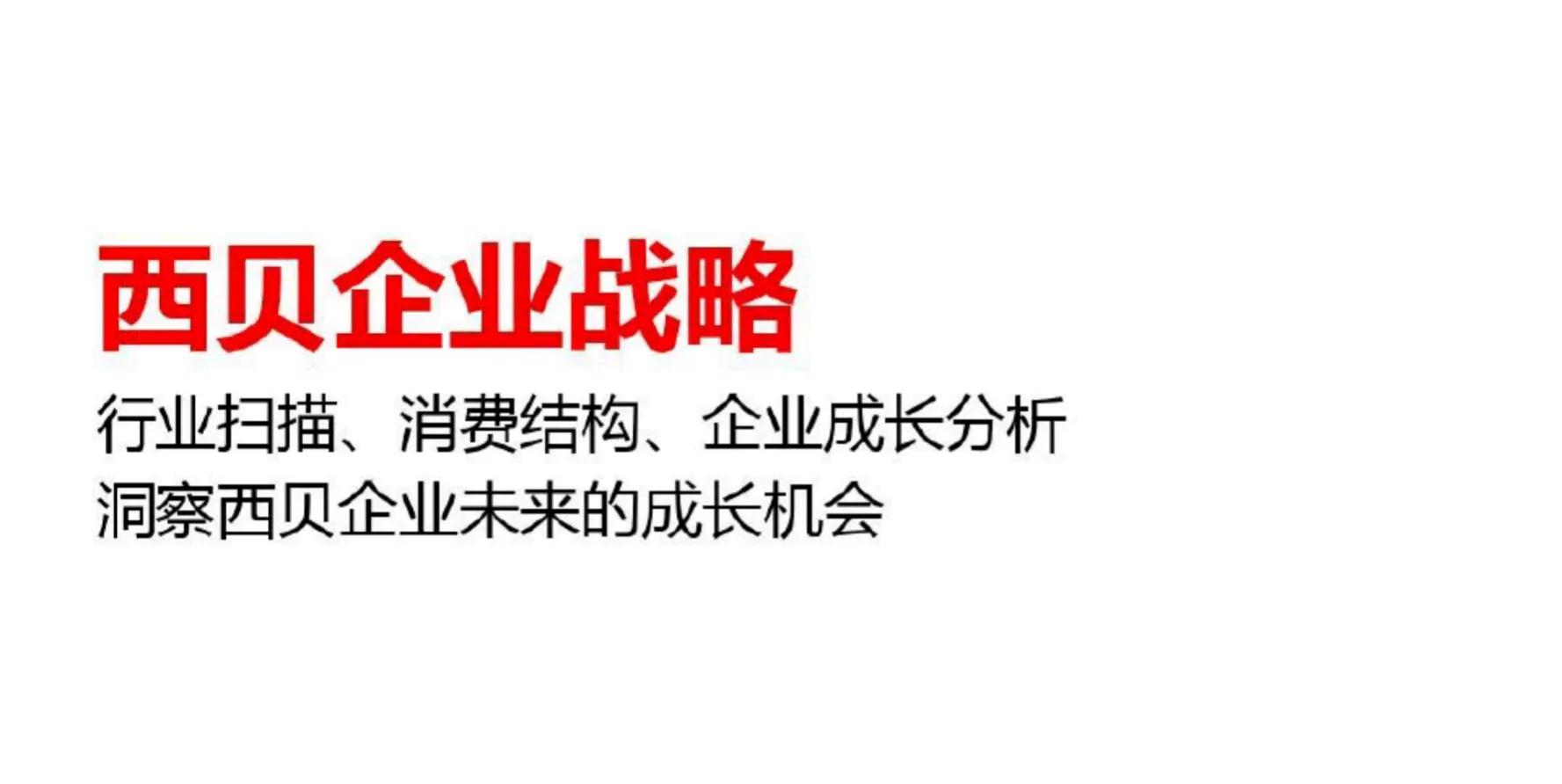 餐饮营销策略ppt,餐饮渠道营销策略参照pdf