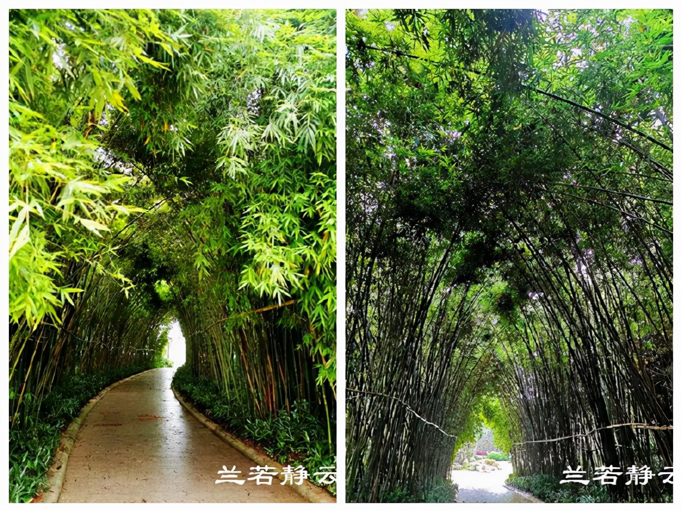 厦门白鹭洲公园陨石展览馆,白鹭洲公园是厦门的宝藏公园