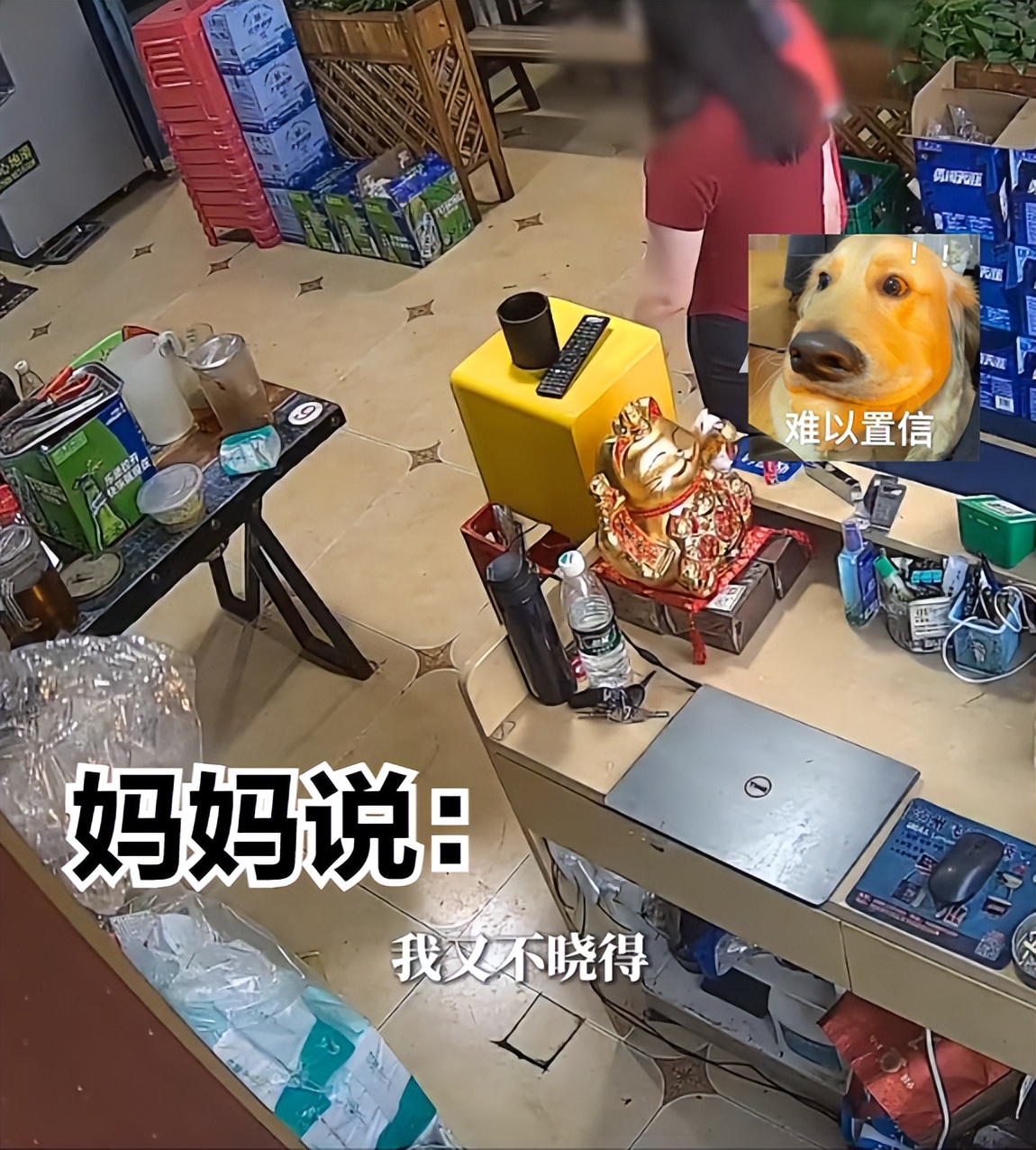 女孩档案被妈妈误拆,档案被拆女孩崩溃