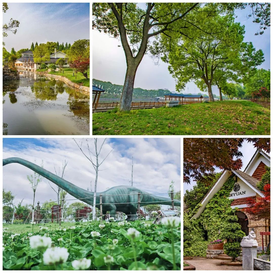 香草伊甸园景区最佳花开期,转发此文