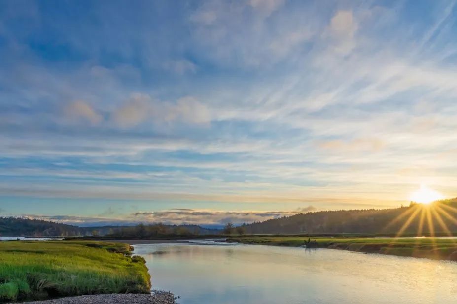 苏格拉底的下午茶|灵魂在宇宙中不会被风吹散