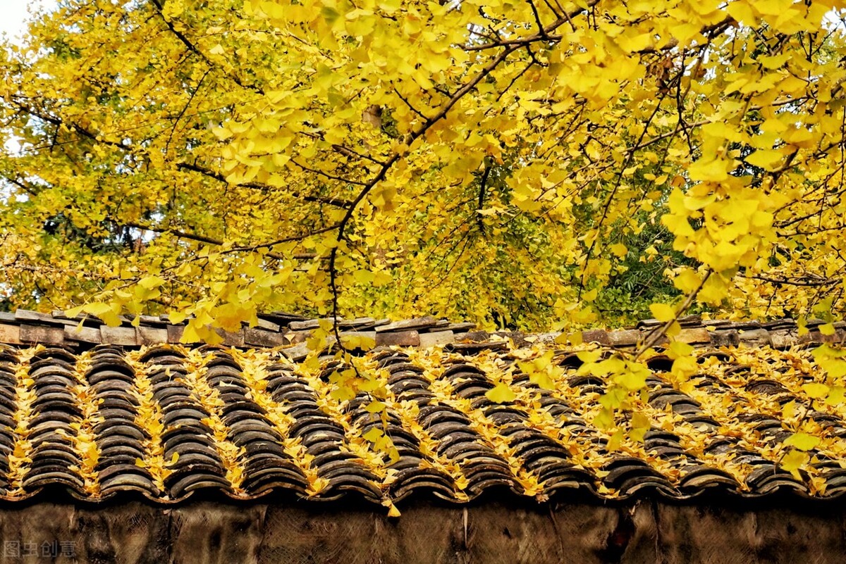 11月份去哪里玩最好玩呢,十一月份秋天适合去哪旅游国内