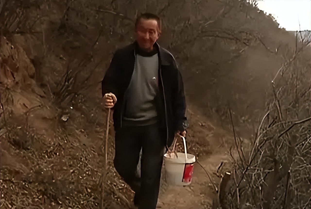 山西老农发现凤凰,山西老农发现2只凤凰精心养4年