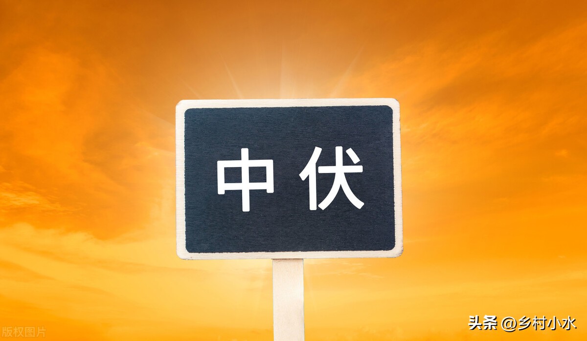 今年三伏天时间表2023几点入伏,2021年三伏天入伏总时间表