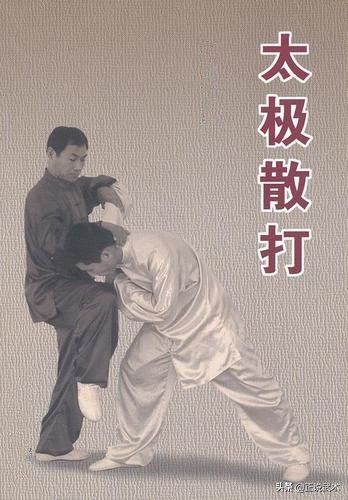 「武艺闲扯谈」太极拳从套路入手走到技击，花法武艺的路数？