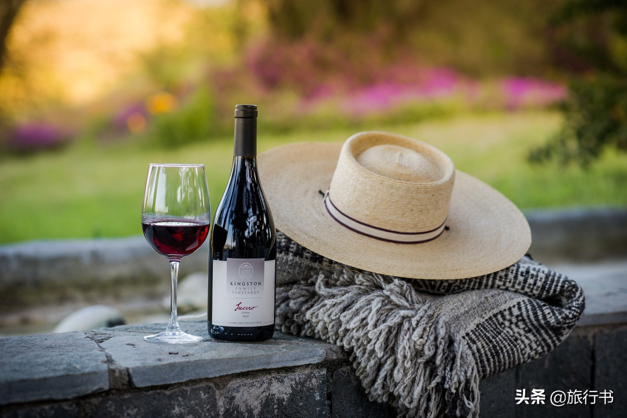 智利葡萄酒和法国葡萄酒哪个好喝 (智利的葡萄酒和法国葡萄酒的区别)