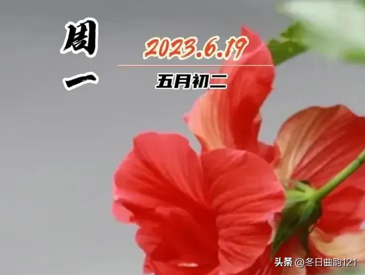 雨过天晴空气格外的清爽,雨过天晴蓝天白云晴空万里