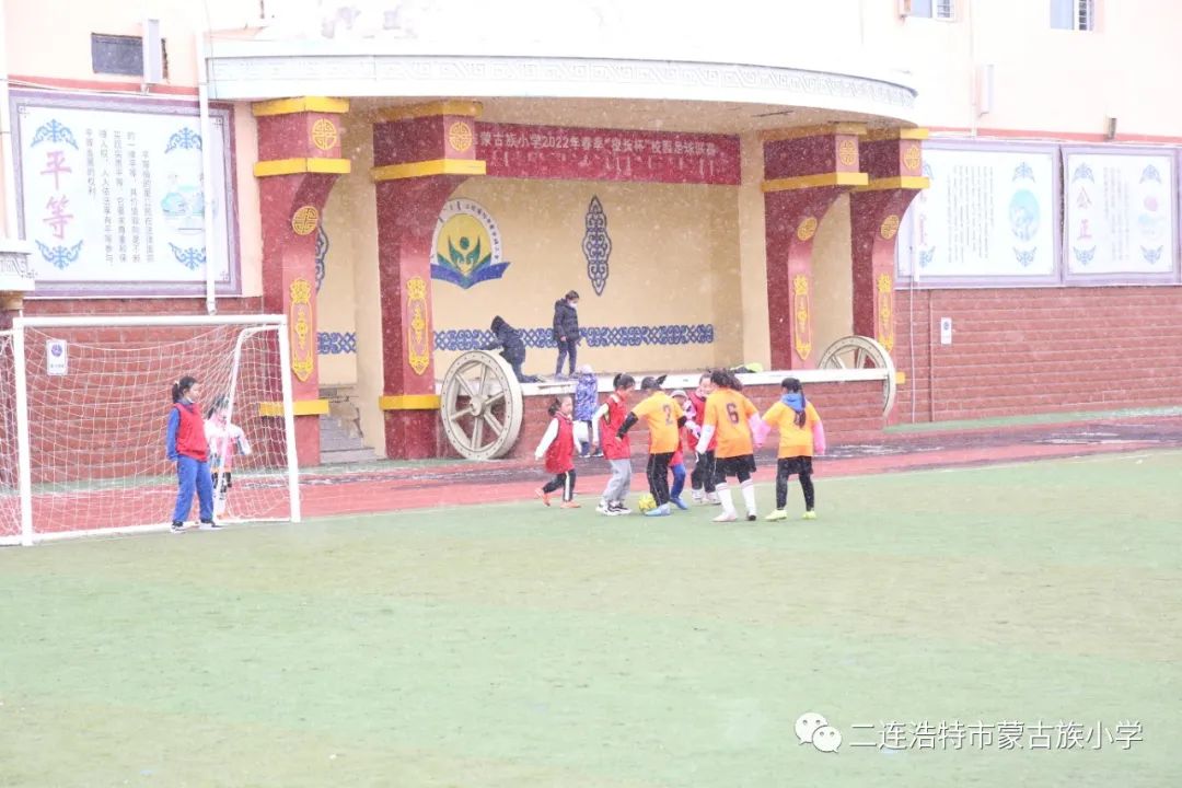 助力双减活动小学,助力双减多彩校园